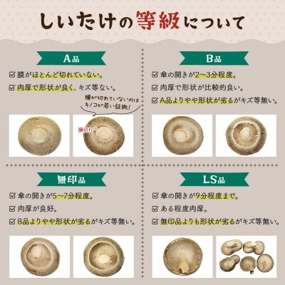 しいたけ 無印品 6M(約100g)×30パック