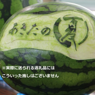 【秋田県横手市産】あきた夏丸すいか5Lサイズ×1玉(約10～12kg)