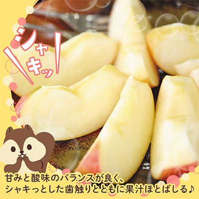 【先行受付】横手産葉とらずふじ　約5kg　2024年12月中旬より順次発送