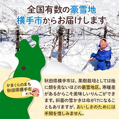 【先行受付】横手産葉とらずふじ　約5kg　2024年12月中旬より順次発送