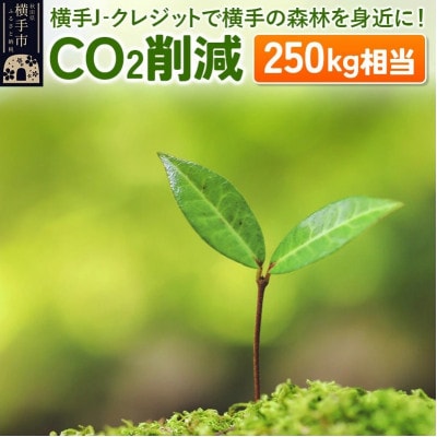 横手J‐クレジットで横手の森林をもっと身近に!　CO2削減 250kg相当