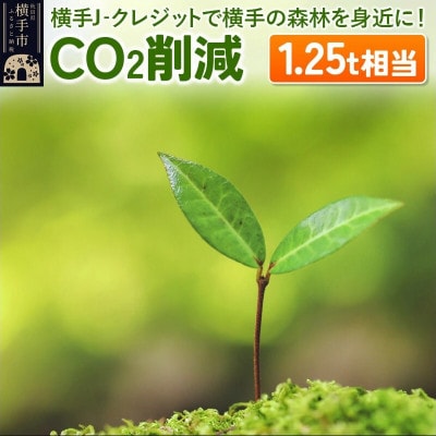 横手J‐クレジットで横手の森林をもっと身近に!　CO2削減 1.25t相当