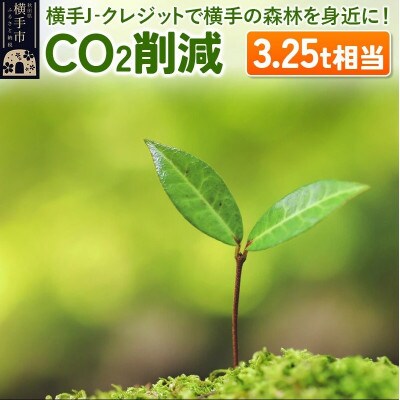 横手J‐クレジットで横手の森林をもっと身近に!　CO2削減 3.25t相当