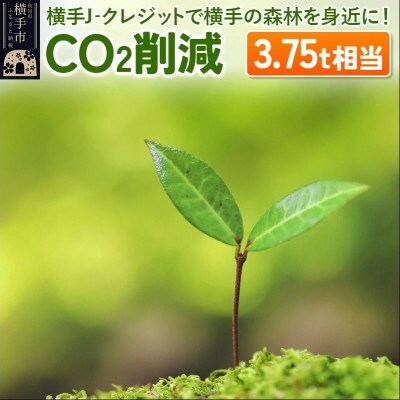 横手J‐クレジットで横手の森林をもっと身近に!　CO2削減 3.75t相当