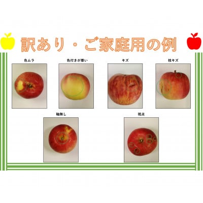 【訳あり】秋田県産季節のおまかせりんごシリーズ　約10kg(約32玉～48玉前後)