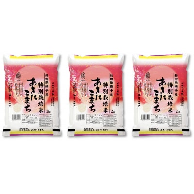 【令和7年産】<愛和自然農法研究会>特栽米あきたこまち6kg(2kg×3袋)