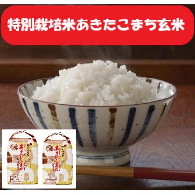 【令和5年産】＜愛和自然農法研究会＞特別栽培米あきたこまち玄米10kg(5kg×2袋)