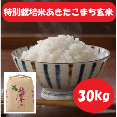 【令和6年産】＜愛和自然農法研究会＞特栽米あきたこまち玄米30kg(1等級)