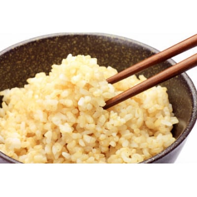 【令和7年産】秋田県横手市産 あきたこまち 玄米 5kg