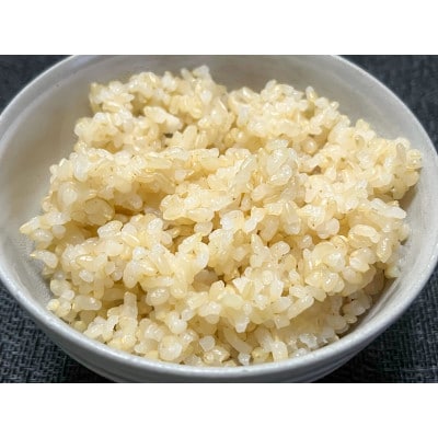 【令和7年産】金のいぶき 10kg(2kg×5袋)　玄米
