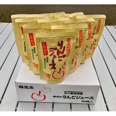 【五十嵐果樹園】無添加りんごジュース(サンふじ)10パック×10箱　