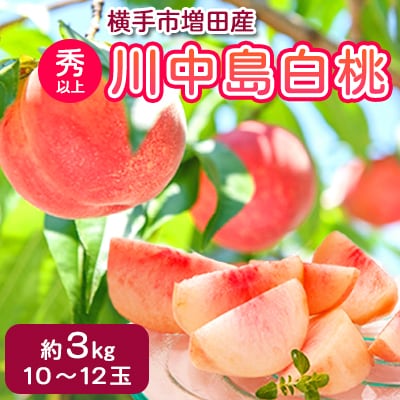 横手市増田産の桃(川中島白桃)約3kg　秀以上　10玉～12玉