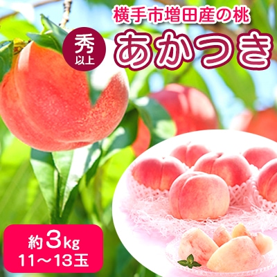 横手市増田産の桃(あかつき)約3kg　秀以上　11玉～13玉