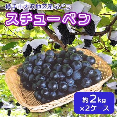濃甘な完熟葡萄　横手市大沢地区産ぶどう・スチューベン　約2kg×2ケース　