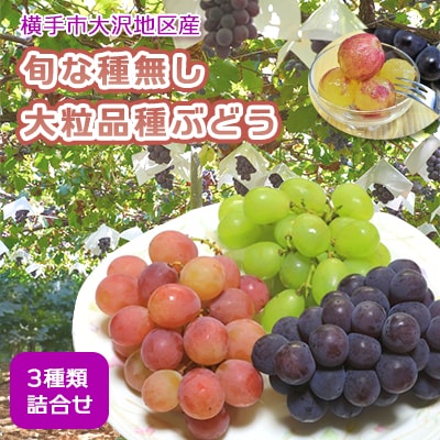 濃甘な完熟葡萄　横手市大沢地区産　旬な種無し大粒品種ぶどう　3種類詰合せ