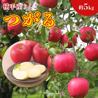 ご家庭用 酸味が少なくさわやかな甘さが特徴!横手産りんご【つがる】約5kg