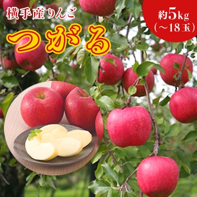 ご家庭用 酸味が少なくさわやかな甘さが特徴!横手産りんご【つがる】約5kg(～18玉)詰合せ