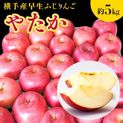 ご家庭用 横手市増田地区で発見された品種!横手産早生ふじりんご【やたか】約5kg