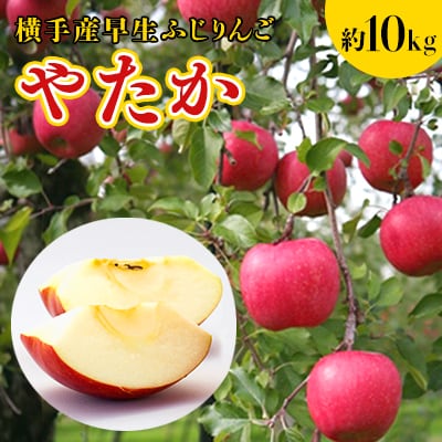 ご家庭用 横手市増田地区で発見された品種!横手産早生ふじりんご【やたか】約10kg