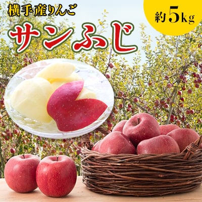 ご家庭用 横手産りんご【サンふじ】約5kg
