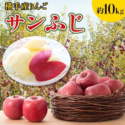ご家庭用 横手産りんご【サンふじ】約10kg　※12月順次発送予定