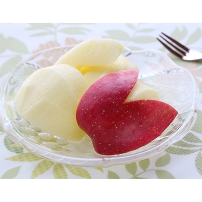 横手産りんご【サンふじ】約10kg ※1月順次発送予定