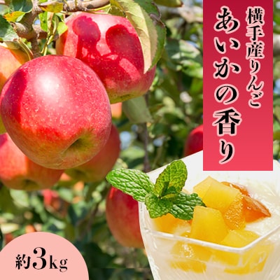 ご家庭用 希少品種!強い甘み　横手産りんご【あいかの香り】約3kg
