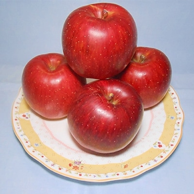 ご家庭用 希少品種!強い甘み　横手産りんご【あいかの香り】約3kg
