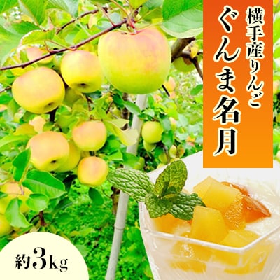 ご家庭用 希少品種!甘みが強い横手産りんご【ぐんま名月】約3kg