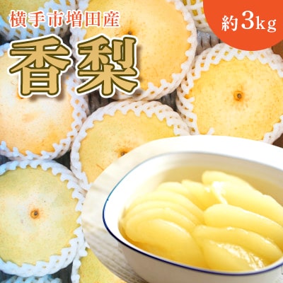 ご家庭用 希少品種!大玉でみずみずしい和梨!横手市増田産　香梨　約3kg