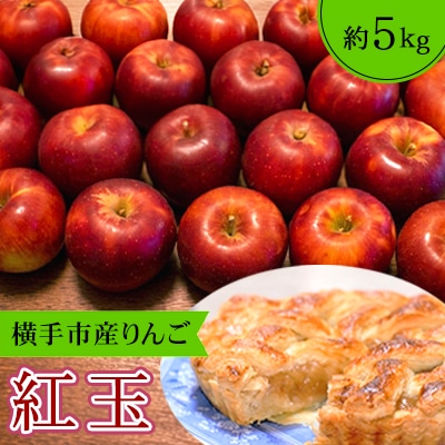 ご家庭用 アップルパイやタルトにも!横手市産りんご(紅玉)約5kg