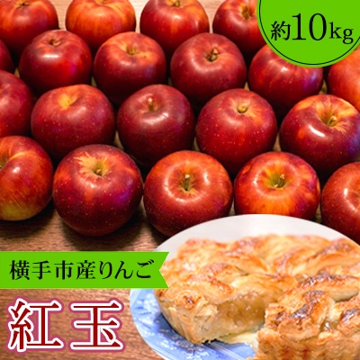 ご家庭用 アップルパイやタルトにも!横手市産りんご(紅玉)約10kg