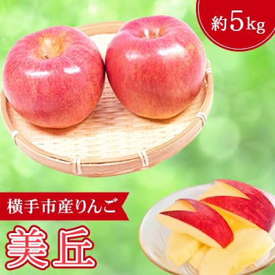 ご家庭用 希少品種!追熟でおいしさ倍増!横手市産りんご(美丘)約5kg