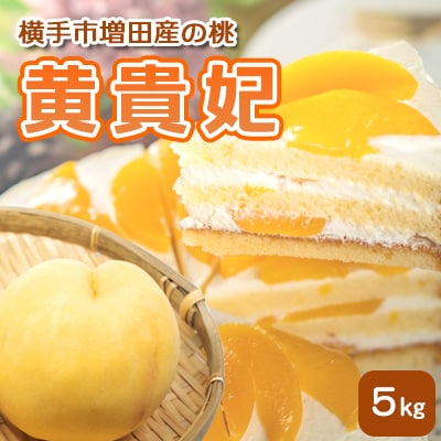 横手市増田産の桃(黄貴妃)5kg