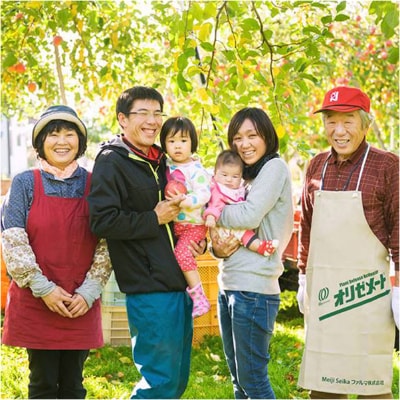 秋田県 横手市増田地域 小松谷りんご園謹製 100%果汁 プレミアムりんごジュース 2本入り