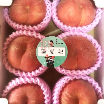 横手市十文字町 ほそかわ農園 謹製 白桃 (草生栽培) 約2kg