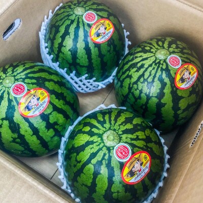 秋田産スイカ・秋田夏丸チッチェ(5玉)