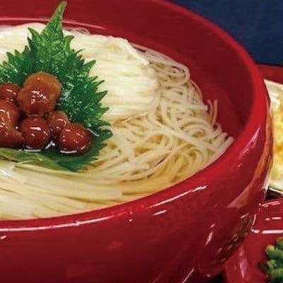 秋田名産稲庭うどん 食べ比べ 11～12人前 計1,140g (京家稲庭半生うどん・齋藤製麺醍醐味)