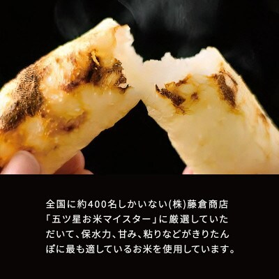 横手のかまくらきりたんぽ【単品】　5本入×10パック