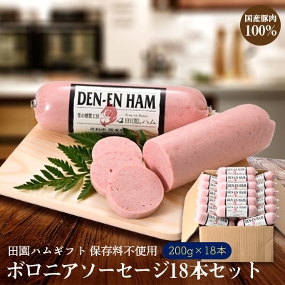 田園ハム　ボロニアソーセージ18本セット