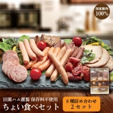 秋田県横手市　田園ハム謹製【ちょい食べセット8種詰め合わせ】×2 | ふるさと納税のお礼品