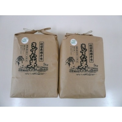 令和6年産「あきたこまち」精米 5kg×2袋【JGAP認証】【秋田県特別栽培農産物認証】