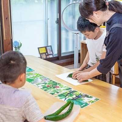 横手市ふるさと納税「さとふるで自由研究」　横手産野菜で学ぶ　料理と科学　【120分】