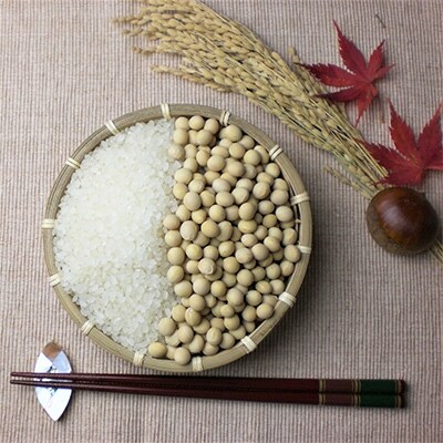 横手市ふるさと納税「さとふるで自由研究」　農耕地横手で学ぶ北国の地図と気候と食文化　【180分】