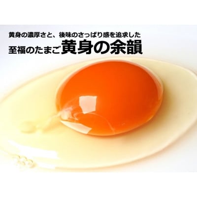 至福のたまご　黄身の余韻　8個入り×4パックセット