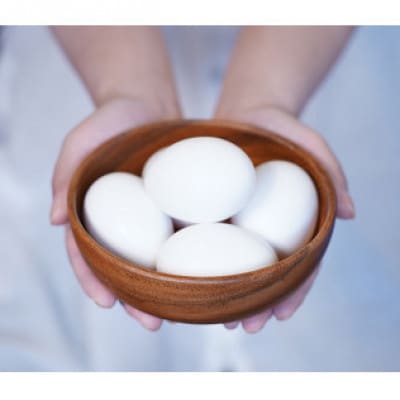 至福のたまご　黄身の余韻 6個×4パック