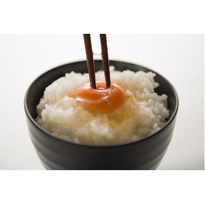 ひとてまたまご ひとたま　160個入り(業務用)