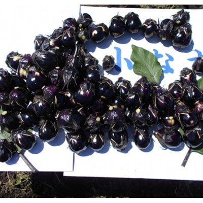 秋田丸小茄子3kg