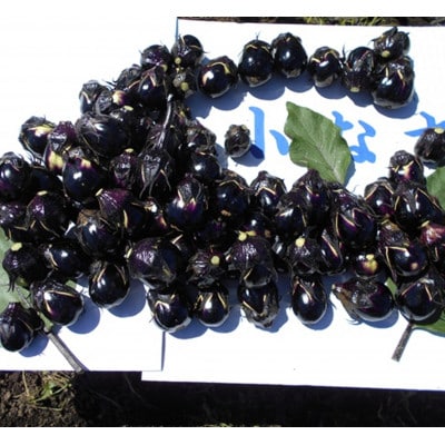 秋田丸小茄子(小)3kg箱詰