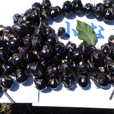 【玄米と麴漬け】(おく漬け)菊入フローズン秋田丸小茄子漬け(冷凍品)180g6パック入り